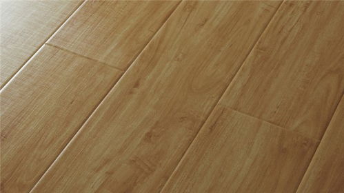 专利硅藻泥地板 鸿之伟业，勇于攀登的保定地板新篇章